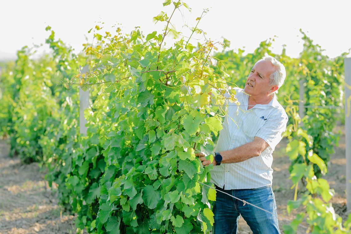 mihran winemaker